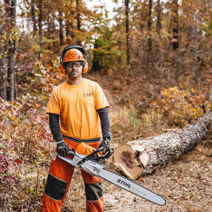 Stihl MS 462 R C-M 25 in Chainsaw