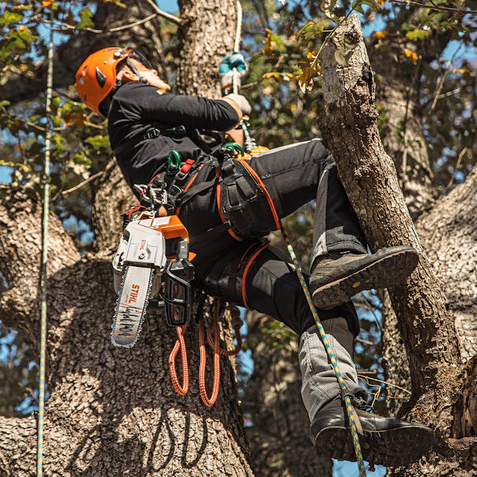 STIHL® MSA 220 TC-O Top Handle Chainsaw