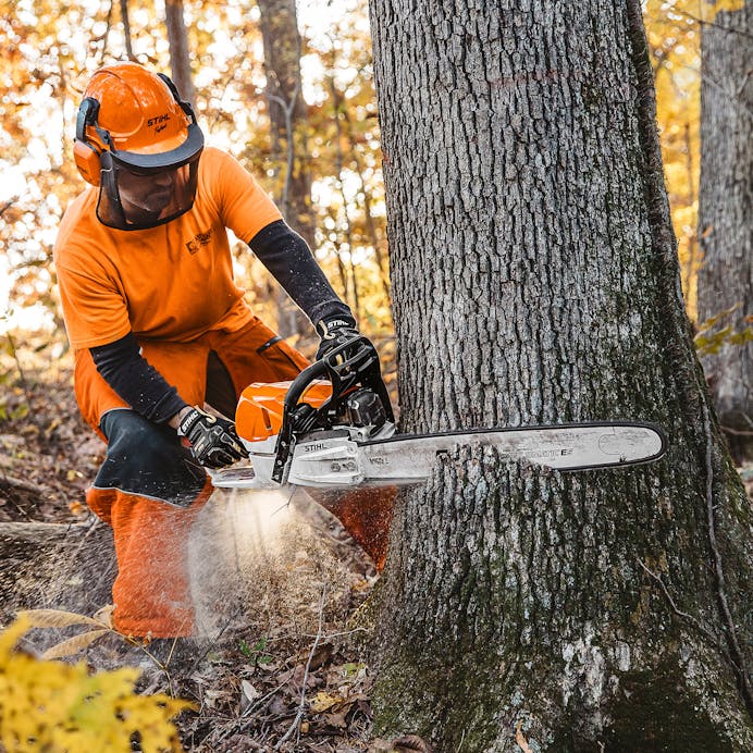Stihl MS 462 R C-M 25 in Chainsaw