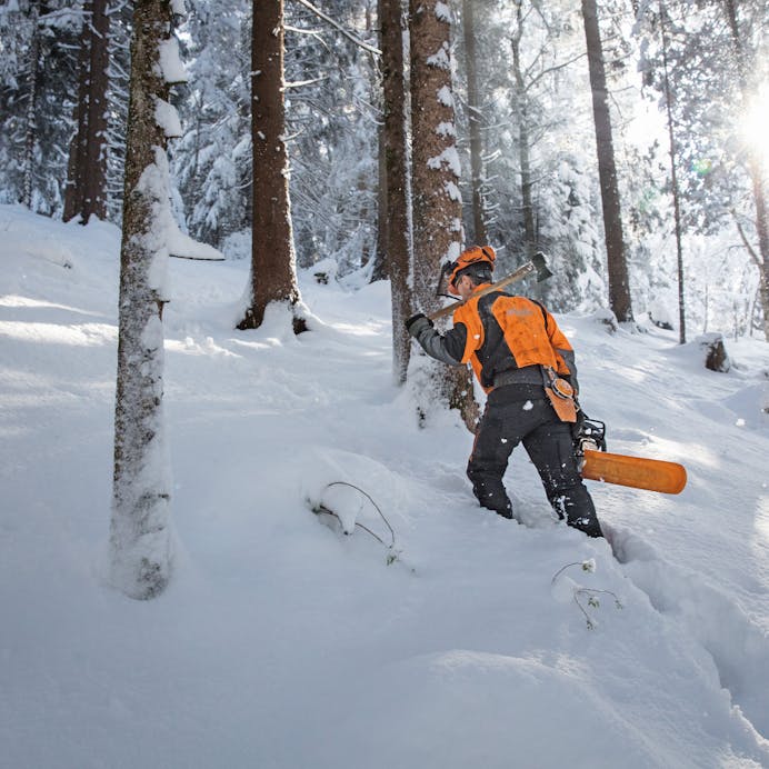 Stihl MS 462 R C-M 25 in Chainsaw