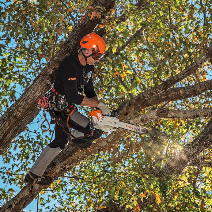 STIHL® MSA 220 TC-O Top Handle Chainsaw